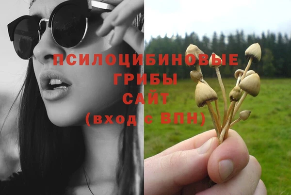 прущий лед Аркадак