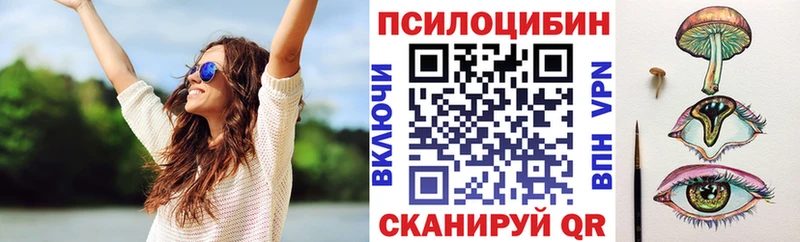купить наркотики цена Зима OMG ссылки Галлюциногенные грибы MAGIC MUSHROOMS